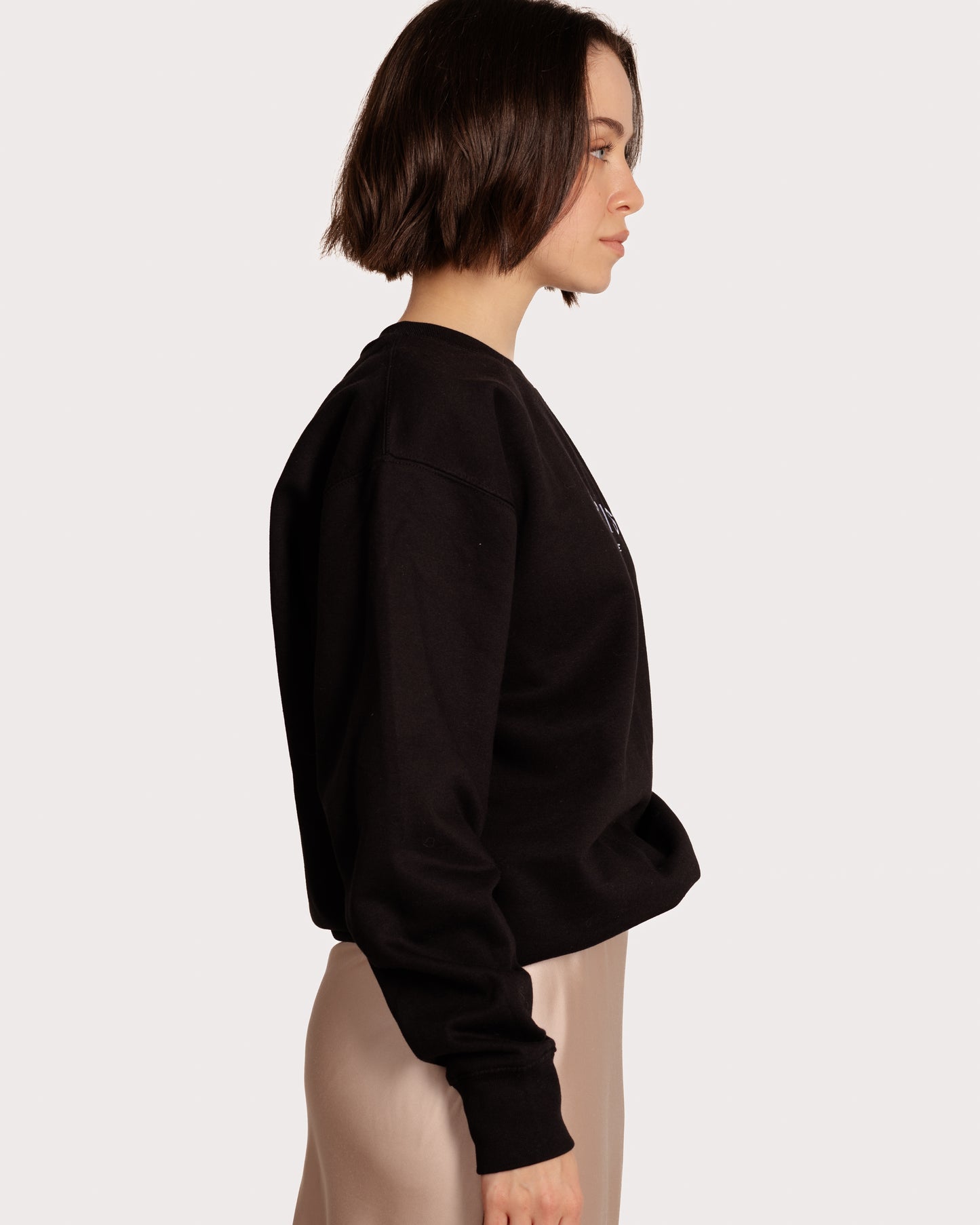 Paris Coordinates Embroidery Sweatshirt