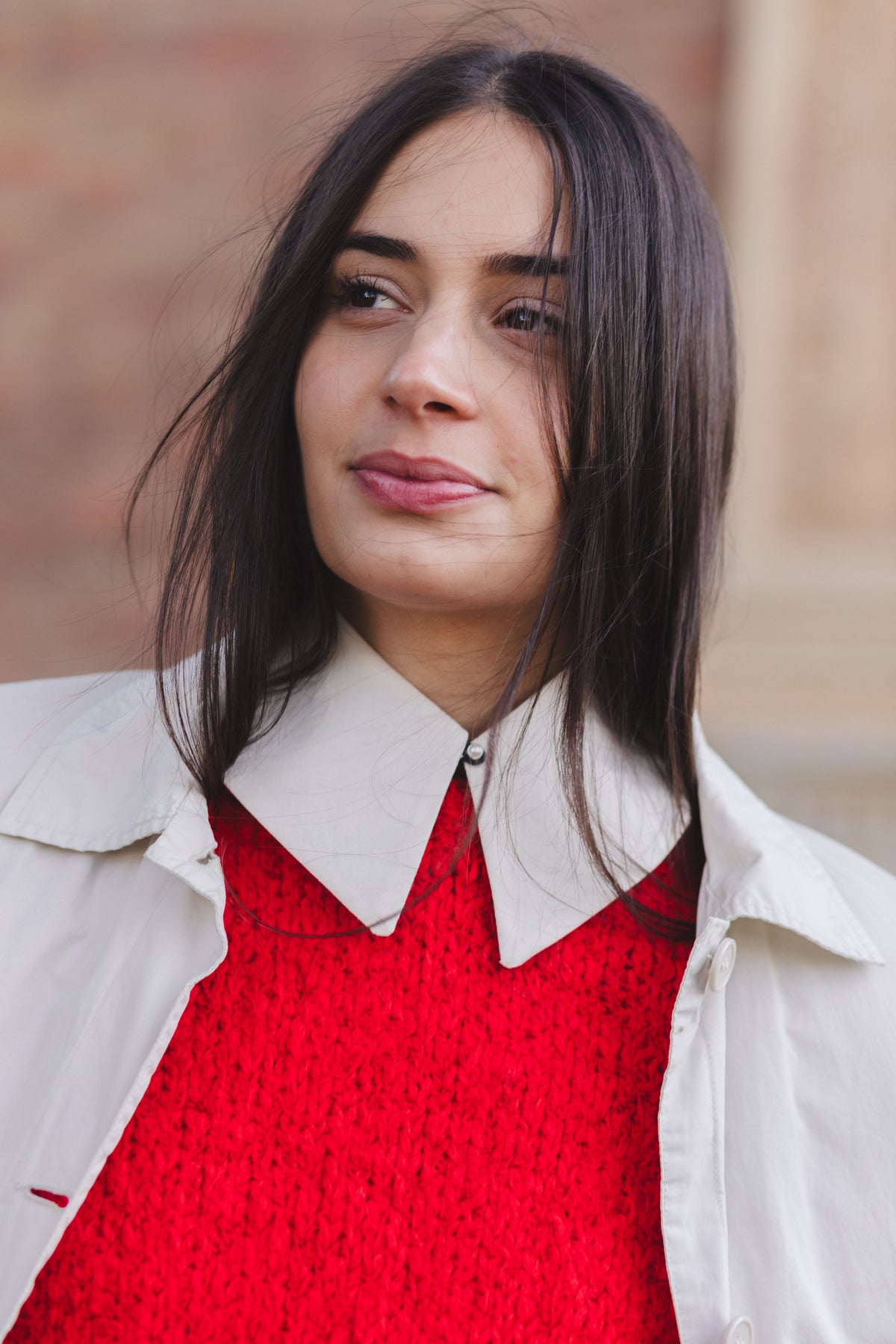 Detachable Collar