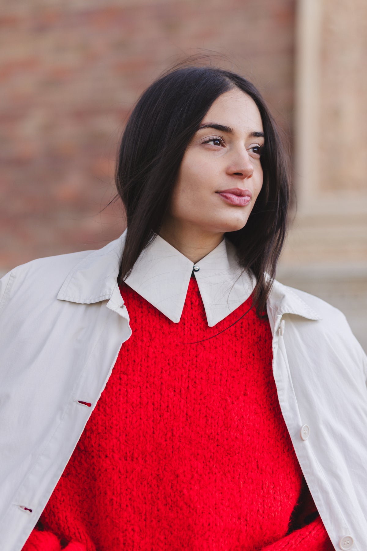 Detachable Collar