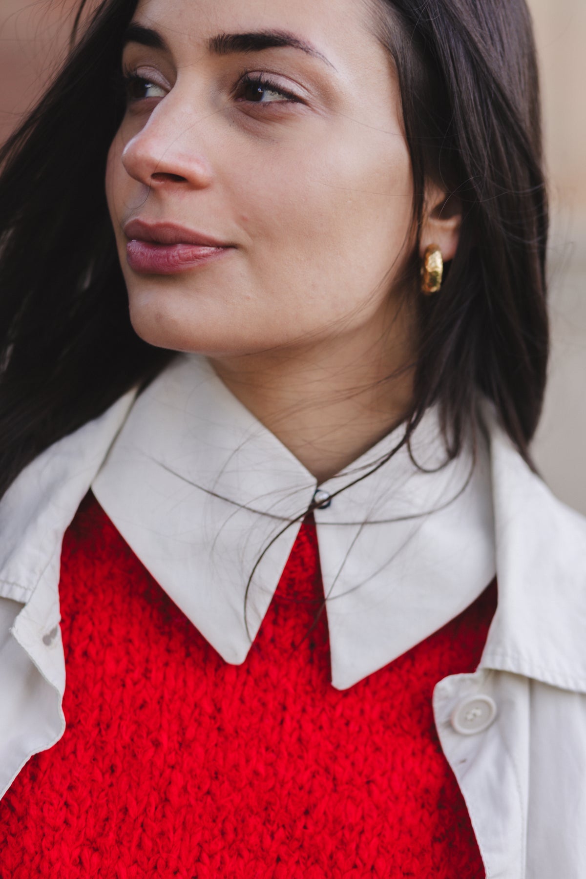 Detachable Collar