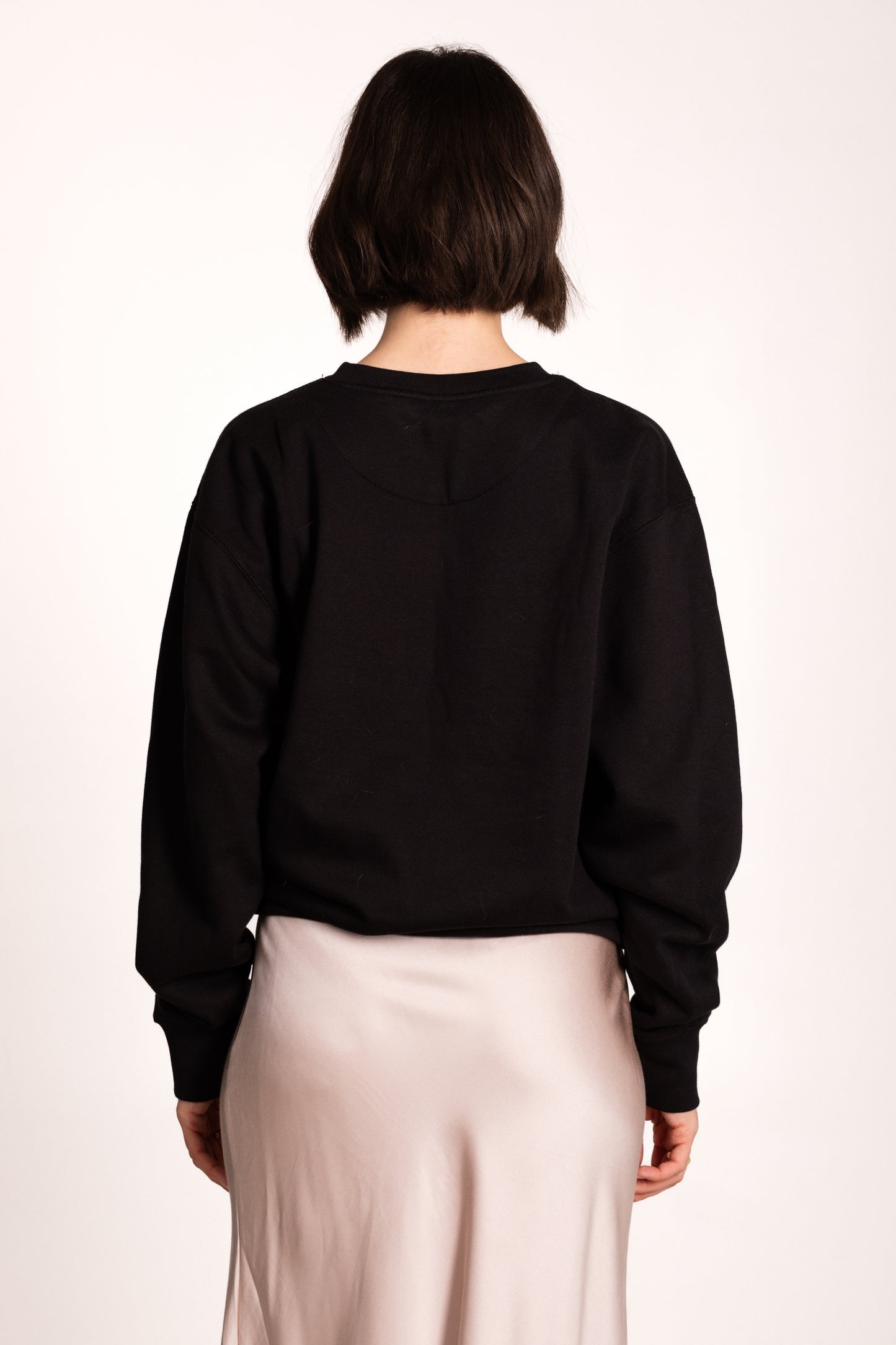 Paris Coordinates Embroidery Sweatshirt