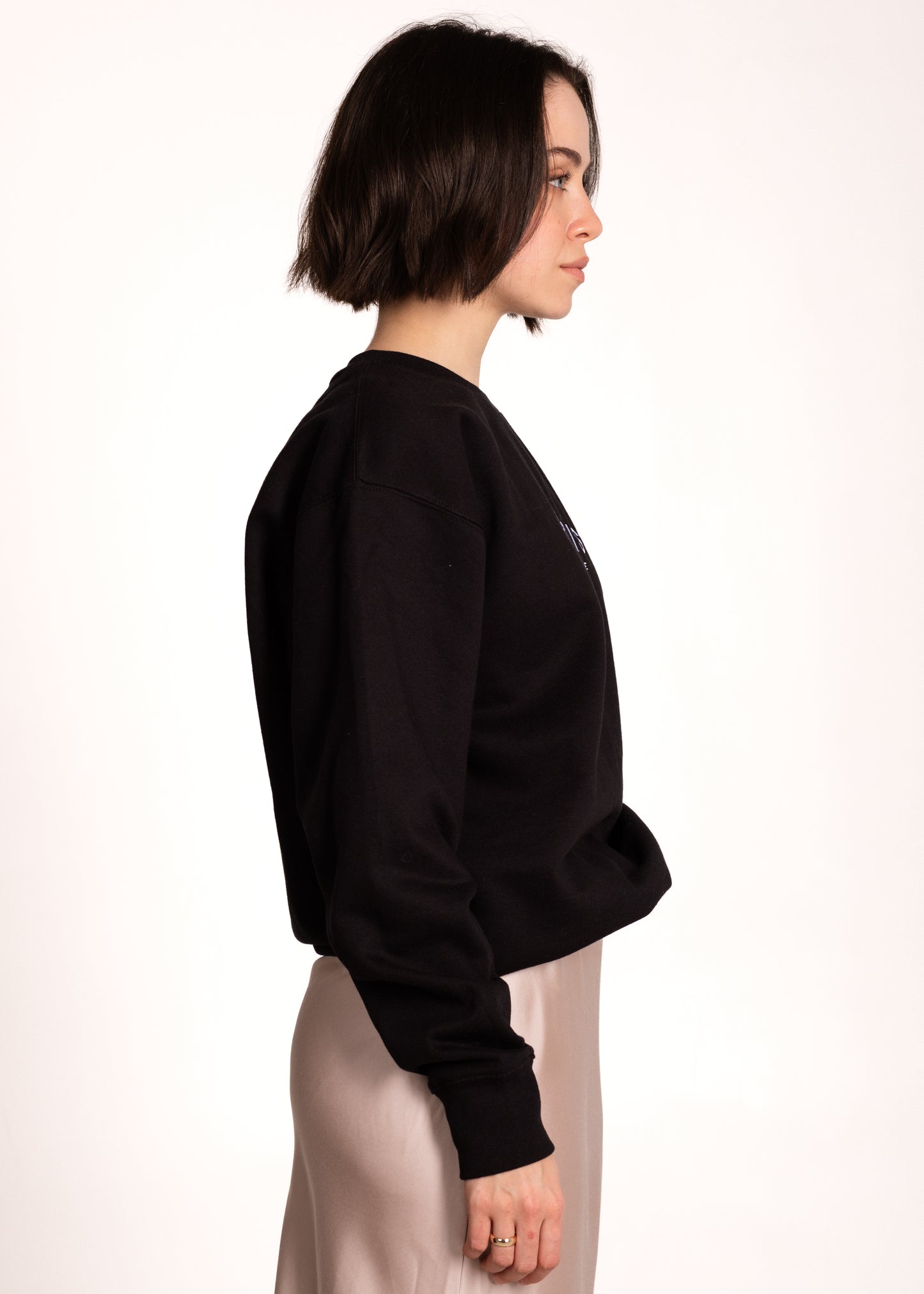 Paris Coordinates Embroidery Sweatshirt